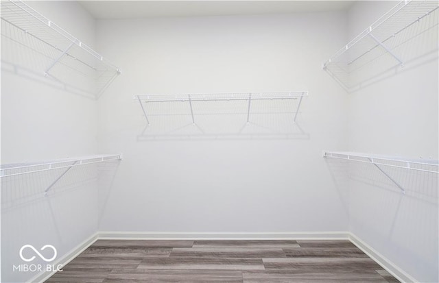 walk in closet with hardwood / wood-style flooring