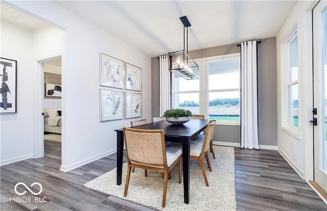 dining area with dark hardwood / wood-style flooring and a chandelier