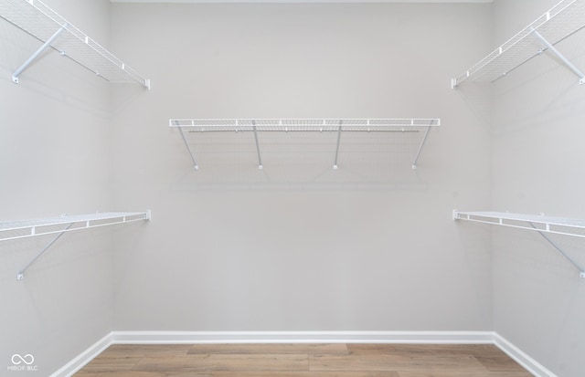 spacious closet featuring wood-type flooring