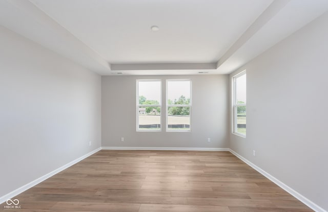 spare room with light hardwood / wood-style floors and a raised ceiling