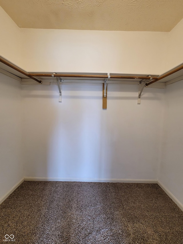 spacious closet with carpet