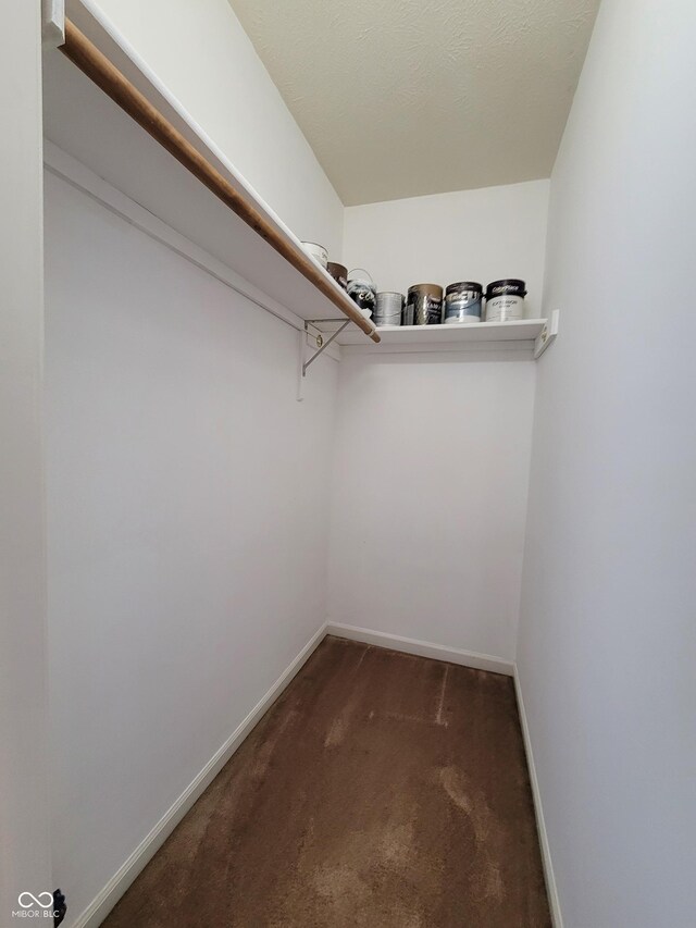 spacious closet with dark colored carpet