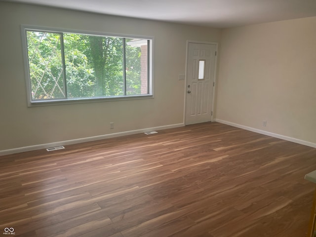 empty room with a wealth of natural light and hardwood / wood-style floors