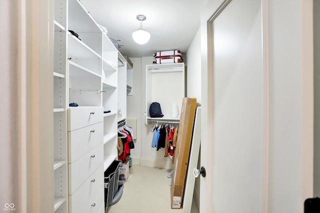 spacious closet with light carpet