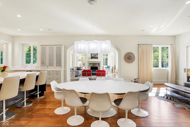 dining room with a healthy amount of sunlight and hardwood / wood-style floors