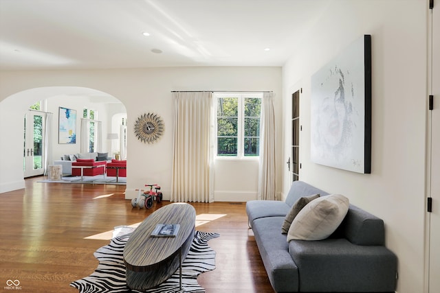 living room featuring hardwood / wood-style flooring