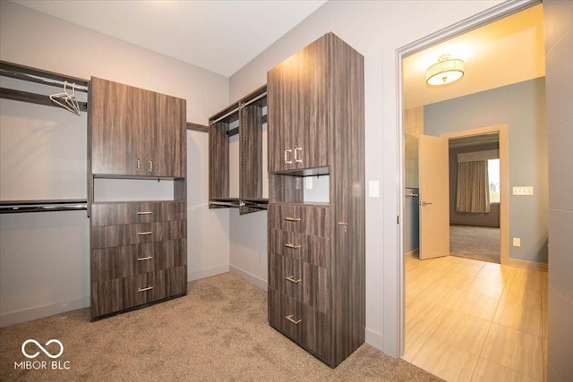 spacious closet featuring light carpet