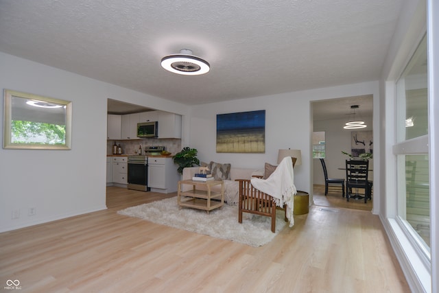 living room with a textured ceiling and light wood-type flooring