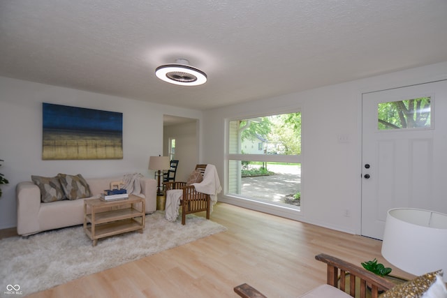 living room featuring light hardwood / wood-style flooring and a textured ceiling