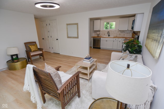 living room featuring sink and light hardwood / wood-style floors