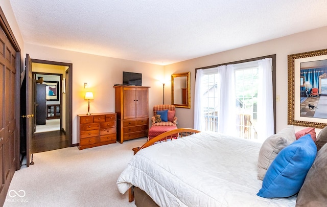 bedroom featuring light carpet, access to outside, and a textured ceiling