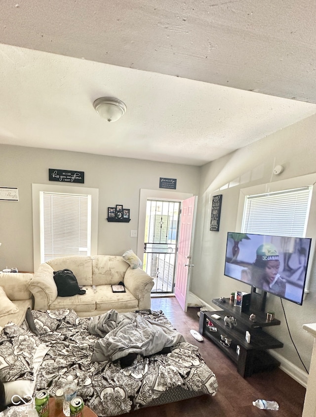 living room featuring a textured ceiling