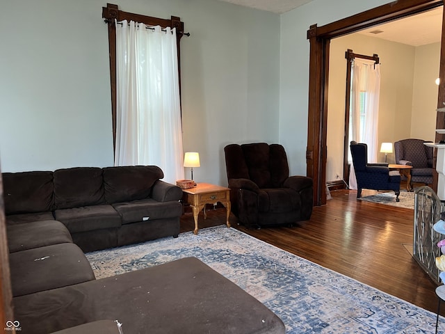 living room with hardwood / wood-style flooring