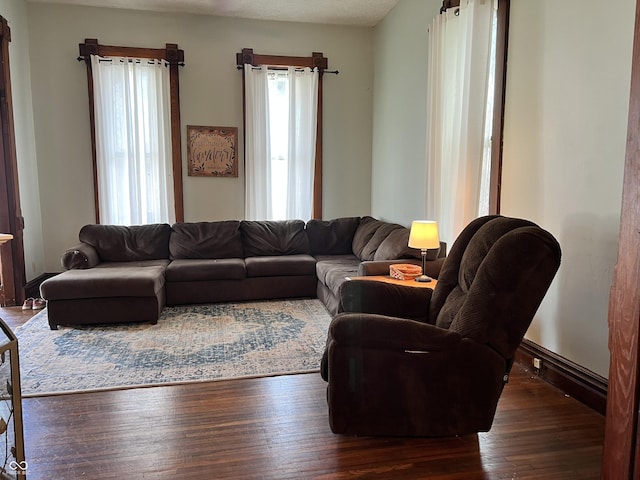 living room featuring dark hardwood / wood-style flooring