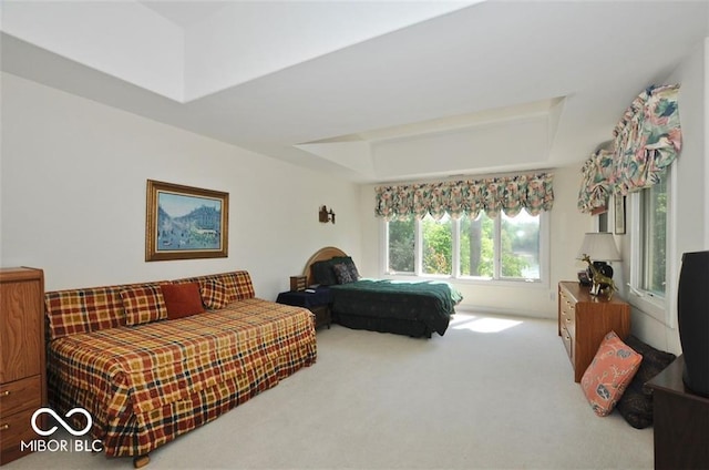 bedroom with carpet flooring