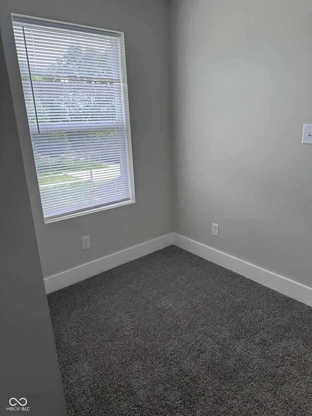 spare room featuring carpet flooring