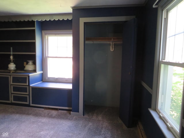 unfurnished bedroom featuring carpet flooring and a closet