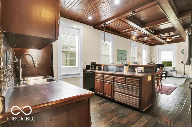 kitchen with dark hardwood / wood-style floors, ceiling fan, sink, and black dishwasher