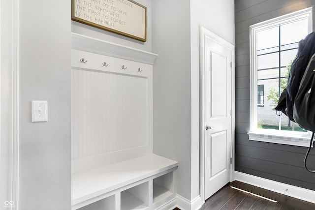 mudroom featuring baseboards and dark wood-type flooring