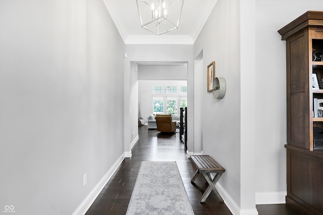 hallway featuring a notable chandelier, crown molding, baseboards, and dark wood-style flooring