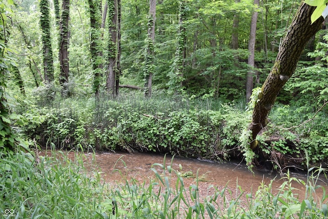 view of local wilderness