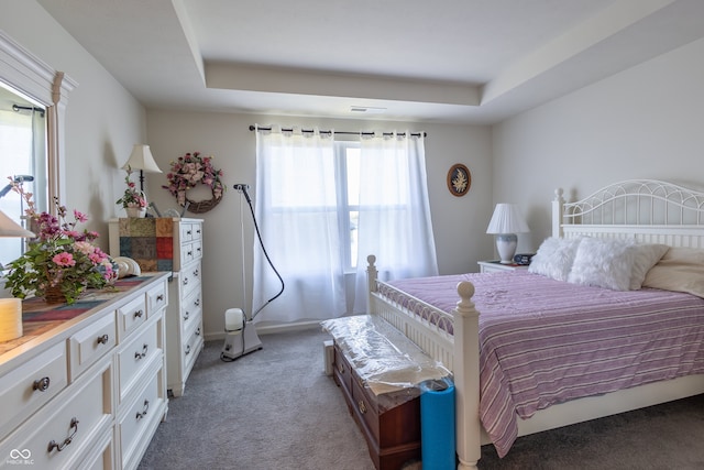 bedroom with carpet and a raised ceiling