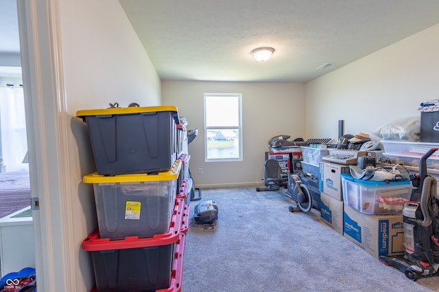 recreation room with carpet