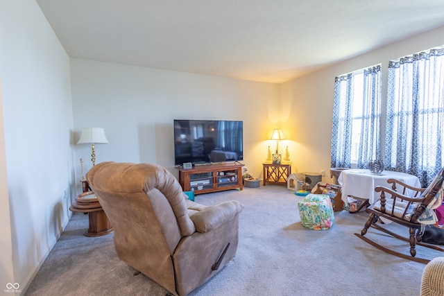 living room featuring carpet floors