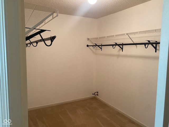 spacious closet featuring carpet floors