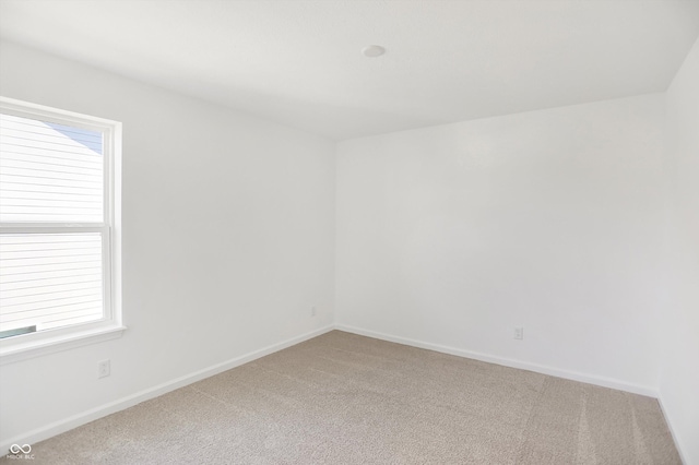 unfurnished room featuring carpet flooring