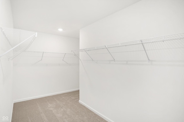 walk in closet with light carpet