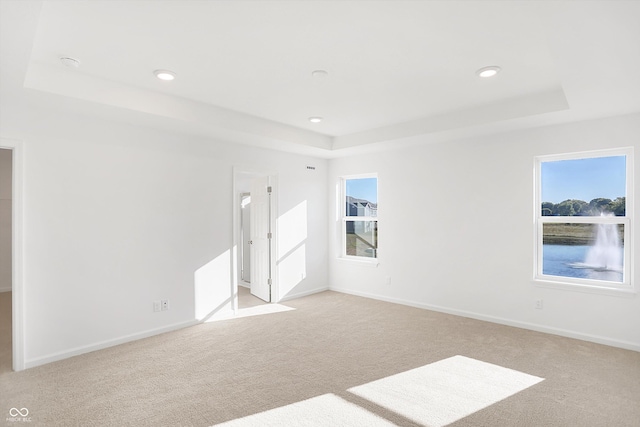 carpeted spare room with a raised ceiling and a wealth of natural light