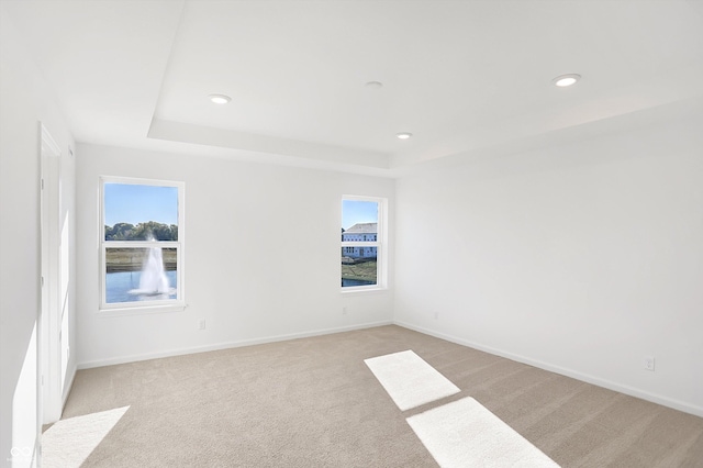 empty room featuring a tray ceiling and light carpet