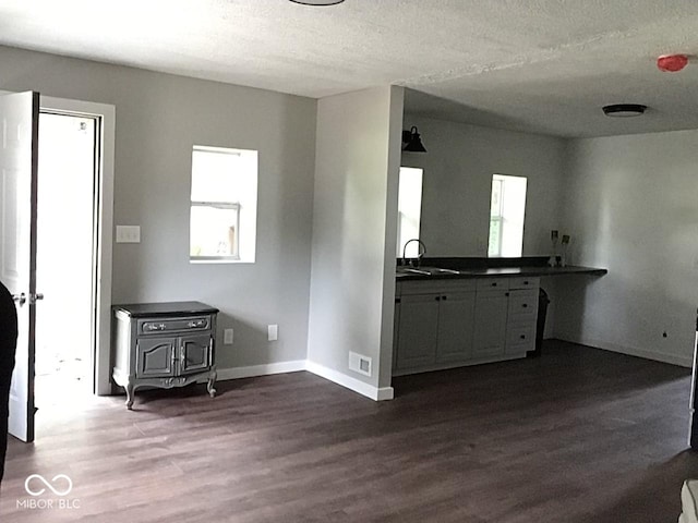 kitchen featuring sink, a textured ceiling, and dark hardwood / wood-style flooring