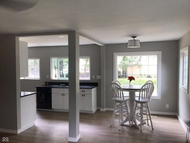 dining space featuring wood-type flooring and a wealth of natural light