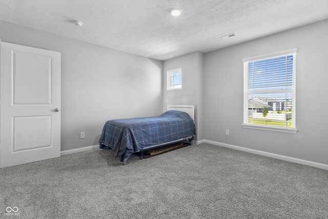 carpeted bedroom featuring multiple windows and a textured ceiling