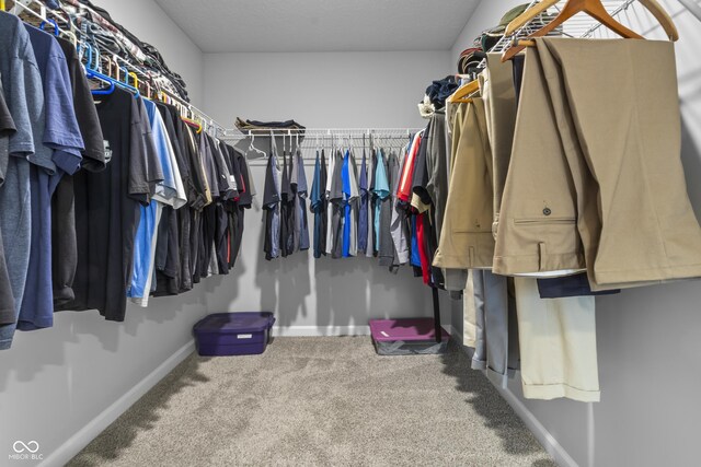 walk in closet featuring carpet floors