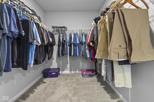 walk in closet featuring carpet