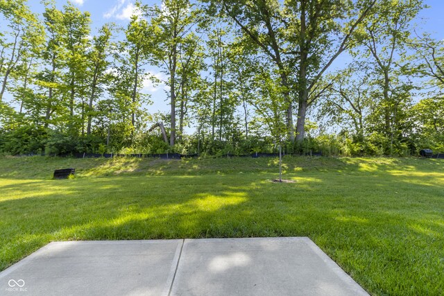 view of yard with a patio area