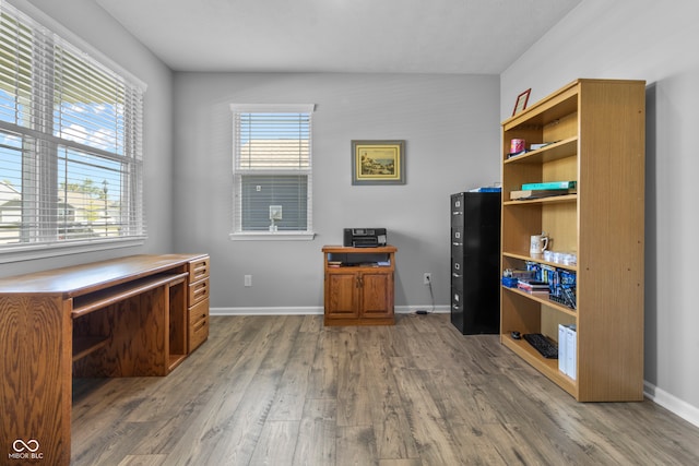 office featuring a wealth of natural light and hardwood / wood-style floors