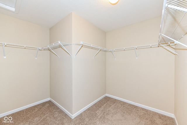 spacious closet with carpet