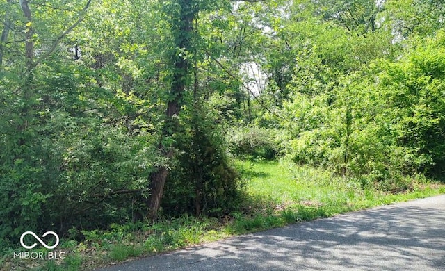 Listing photo 3 for LOT67 E Apache Trl S, North Vernon IN 47265