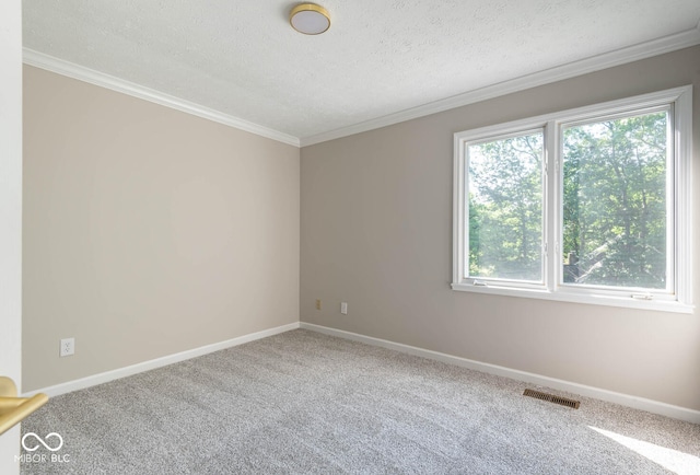 empty room with carpet flooring, a textured ceiling, and crown molding