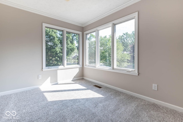 empty room featuring a textured ceiling, crown molding, and carpet