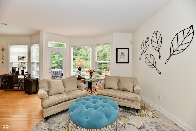 living room with a healthy amount of sunlight and wood-type flooring