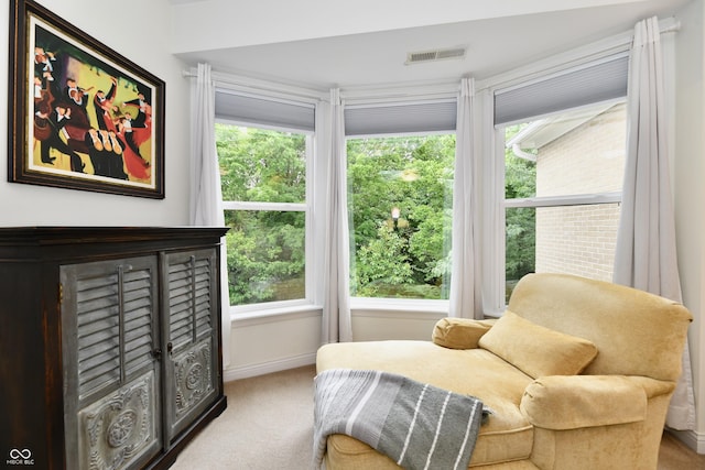 sitting room featuring carpet flooring and a healthy amount of sunlight