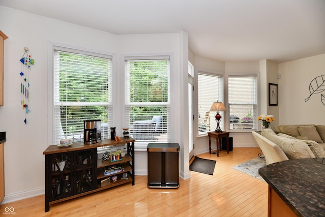 living area featuring light hardwood / wood-style floors and a wealth of natural light