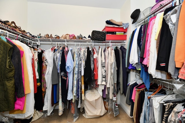 spacious closet featuring carpet