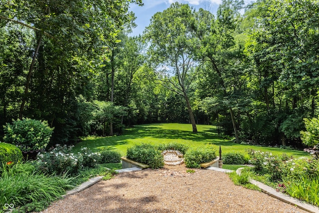 841 Alverna Dr, Indianapolis, IN 46260 - view of green lawn