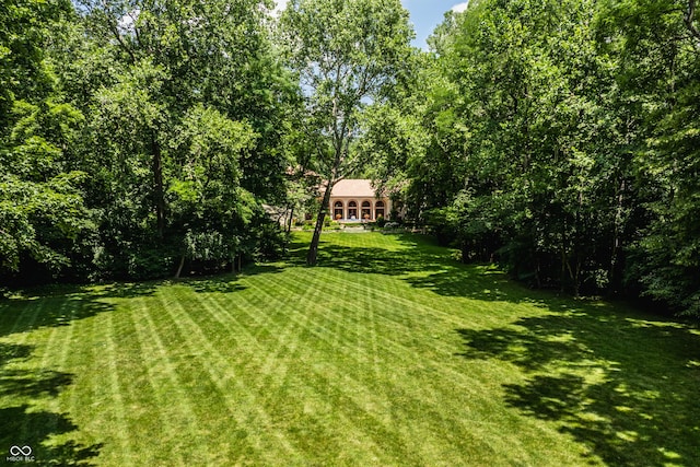 841 Alverna Dr, Indianapolis, IN 46260 - view of green lawn